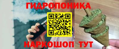 тгк Будённовск