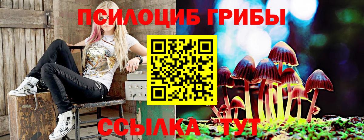 Псилоцибиновые грибы Psilocybe Алапаевск