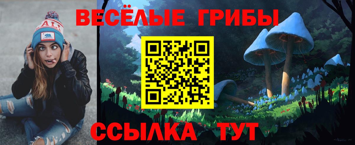 Алапаевск  Псилоцибиновые грибы мухоморы  где купить наркоту  Вход с VPN 
